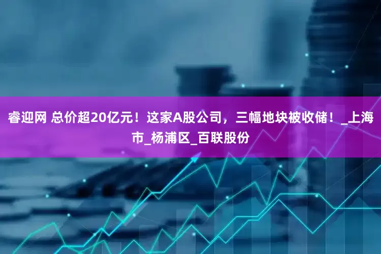 睿迎网 总价超20亿元！这家A股公司，三幅地块被收储！_上海市_杨浦区_百联股份