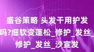 盛谷策略 头发干用护发素有用吗?细软变蓬松_修护_发丝_沙宣发