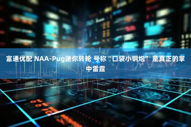 富通优配 NAA-Pug迷你转轮 号称“口袋小钢炮” 是真正的掌中雷霆