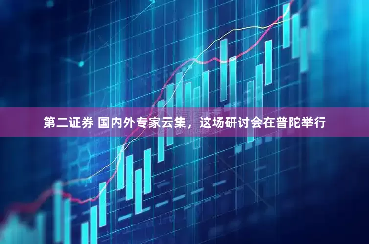 第二证券 国内外专家云集，这场研讨会在普陀举行