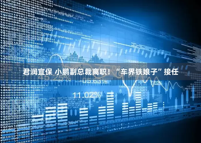 君润宜保 小鹏副总裁离职！“车界铁娘子”接任