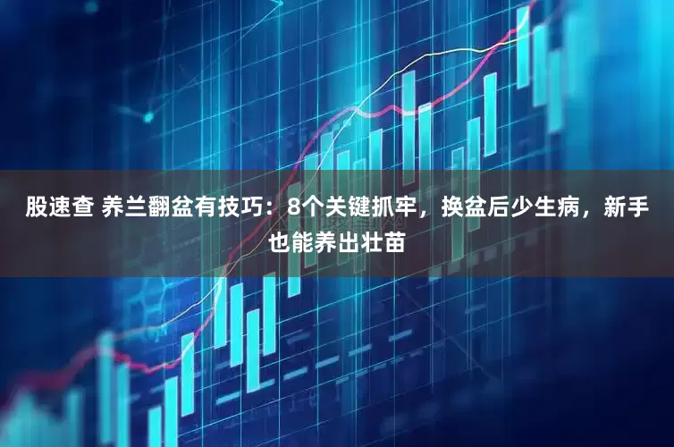 股速查 养兰翻盆有技巧：8个关键抓牢，换盆后少生病，新手也能养出壮苗