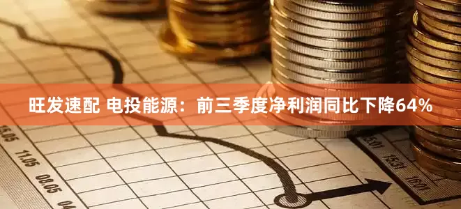 旺发速配 电投能源：前三季度净利润同比下降64%