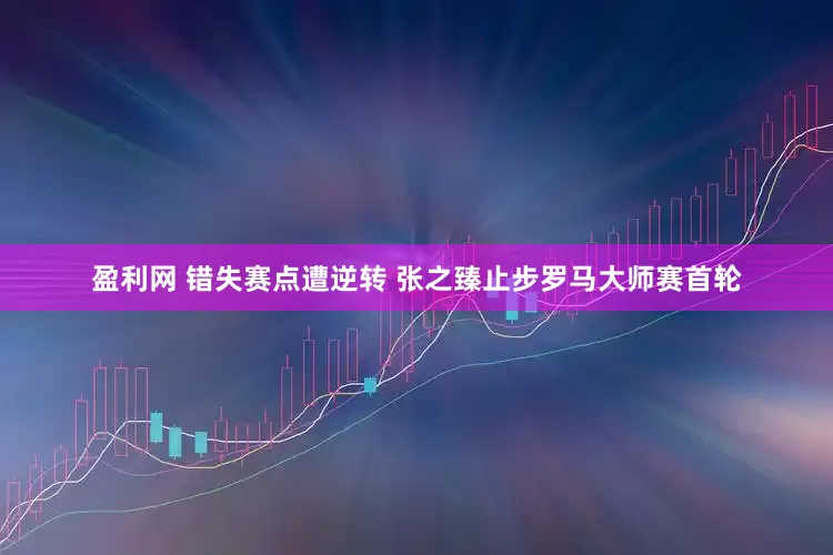 盈利网 错失赛点遭逆转 张之臻止步罗马大师赛首轮